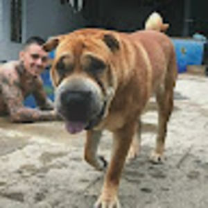 Meet your Posher, Andriana